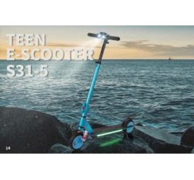 Teen E-Ecooter S31-5