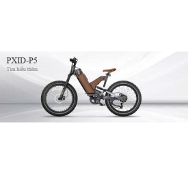 PXID-P5
